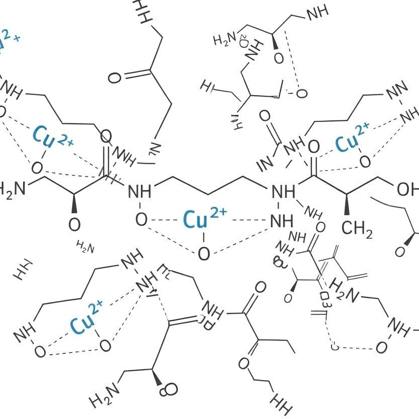 Chemical structure diagram of a metalloprotein with copper ions